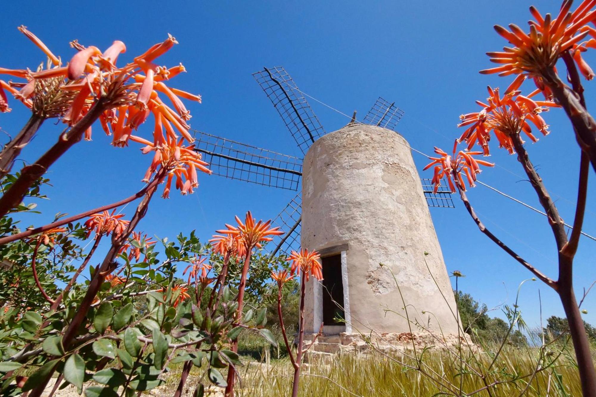 Voga Mari - Astbury Formentera Apartment Playa Migjorn Bagian luar foto